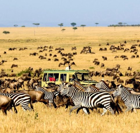 Kluchit-Serengeti-National-Park-Featured-Image-min