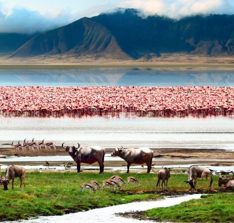 The African wildlife. Beautiful view of Lake in Ngorongoro Crater, Tanzania.