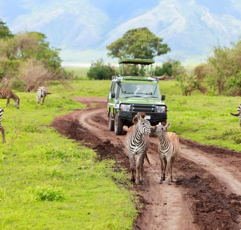 safari-through-the-national-parks-lake-manyara-serengeti-ngorongoro-11-1360x900